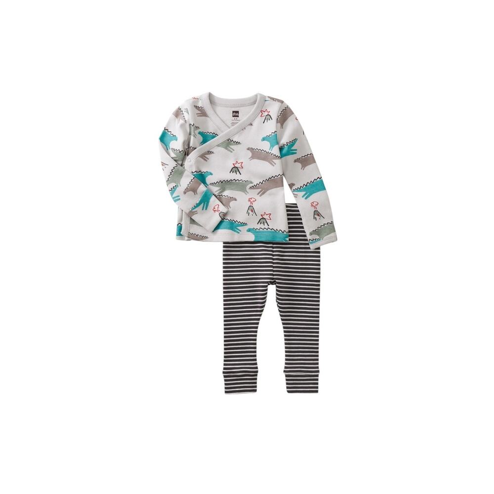 NEW Tea Collection Dancing Dinosaurs Baby Wrap Top Set Gray 3-6 Months